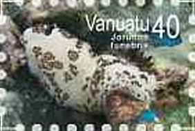 Stamp, Dotted Nudibranch (Jorunna funebris), Vanuatu,  , Sea Life, Animals (Fauna)
