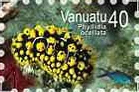 Ocellate Phyllida (Phyllidia ocellata)