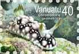 Stamp, Geometric Chromodoris (Chromodoris geometrica), Vanuatu,  , Sea Life, Animals (Fauna)