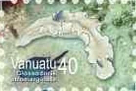 Stamp, Cheesecake Nudibranch (Glossodoris atromarginata), Vanuatu,  , Sea Life, Animals (Fauna)