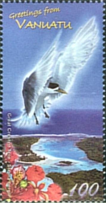 Greater Crested Tern (Sterna bergii)