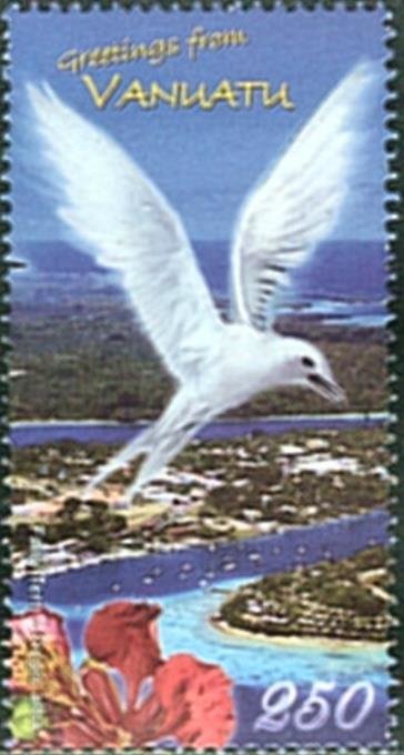 White Tern (Gygis alba)