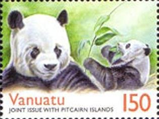 Giant Panda (Ailuropoda melanoleuca)