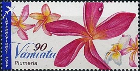 Flower of Red Jasmine Tree (Plumeria rubra)