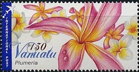 Flower of Red Jasmine Tree (Plumeria rubra)