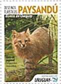 Fauna of the Paysandu Region