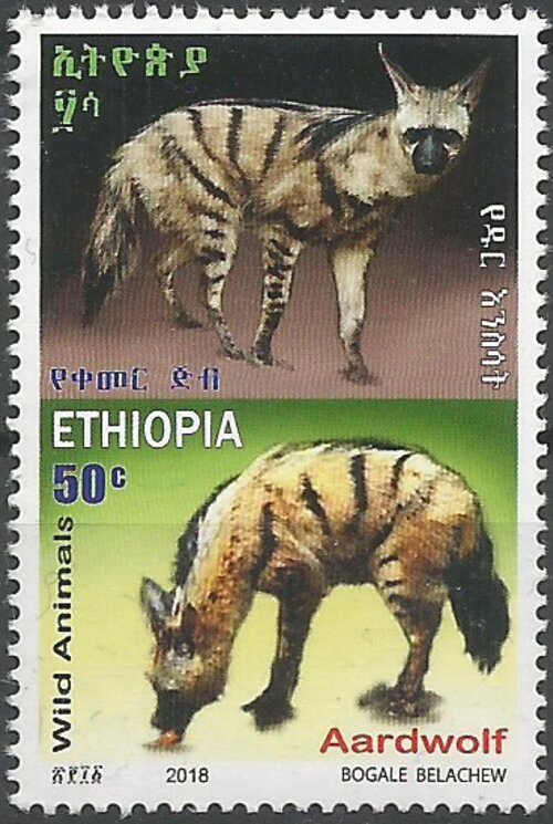 Aardwolf (Proteles cristata)