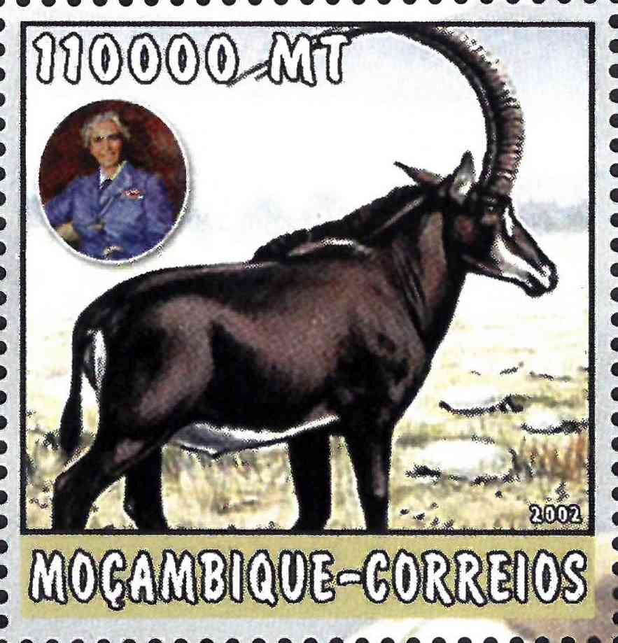 Natureza de Africa