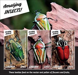 Mini Sheet, Beetles, Liberia,  , Animals (Fauna), Beetles, Insects