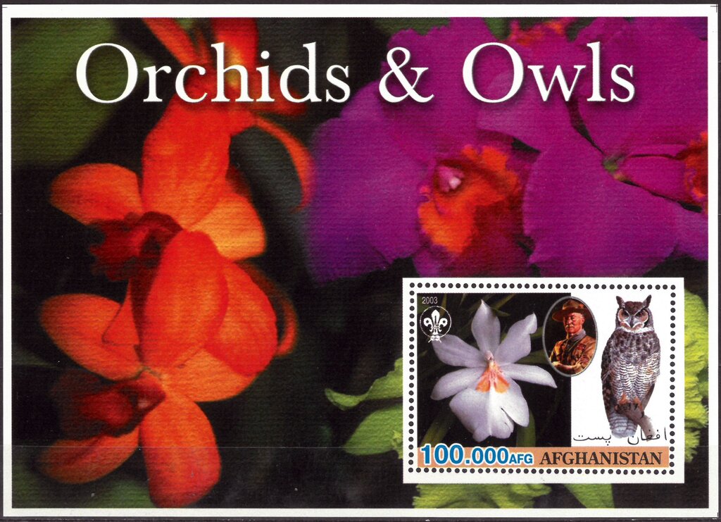 Orchids & Owls