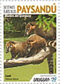 Fauna of the Paysandu Region