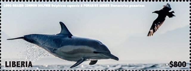 Stamp, Long-Beaked Common Dolphin, Liberia,  , Dolphins