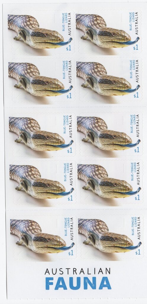 Blue-Tongued Lizard Booklet