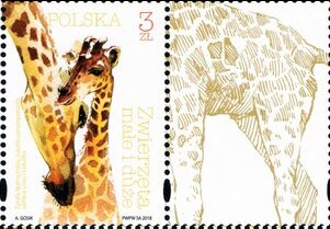 Stamp, Giraffe, Poland,  , Animals (Fauna), Giraffes
