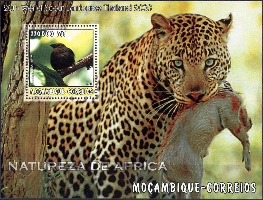 Natureza de Africa