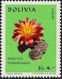 Rebutia tunariensis