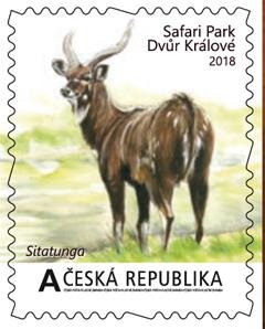 Velké africké expedice I. - Sitatunga