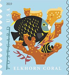Elkhorn Coral (Coil Stamp)