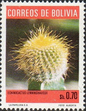Echinocactus Lenninghaussii