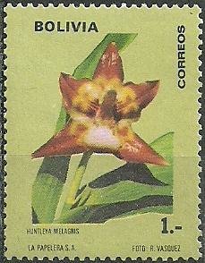Huntleya meleagris