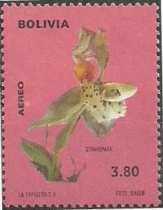 Stanhopea grandiflora