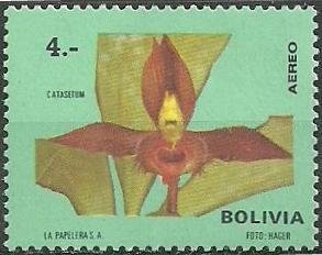 Catasetum saccatum