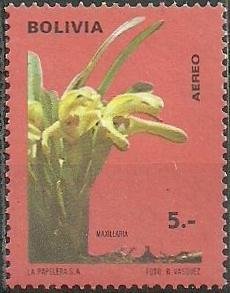 Maxillaria triloris