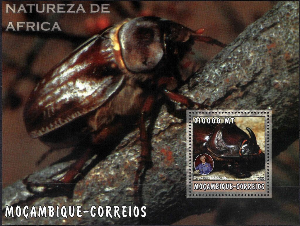 Natureza de Africa