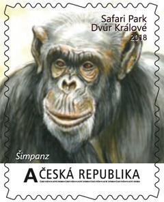 Velké africké expedice II. - Šimpanz