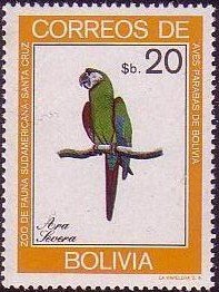 Chestnut-fronted Macaw (Ara severa)