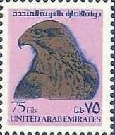 Hawk