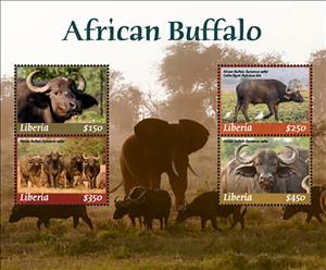 Souvenir Sheet, African Buffalo, Liberia,  , Animals (Fauna), Buffaloes, Elephants, Mammals