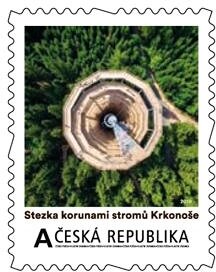 Stezka mezi stromy