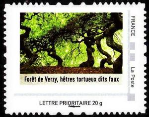Stamp, Foret de Verzy, hetres tortueux dits faux, France,  , Landscapes