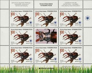 Mini Sheet, Stag Beetle (Lucanus cervus), Bosnia and Herzegovina, Serbian Administration,  , Animals (Fauna), Beetles, Insects