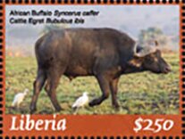Stamp, African Buffalo, Liberia,  , Cattle