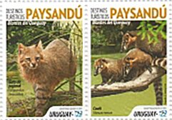 Fauna of the Paysandu Region