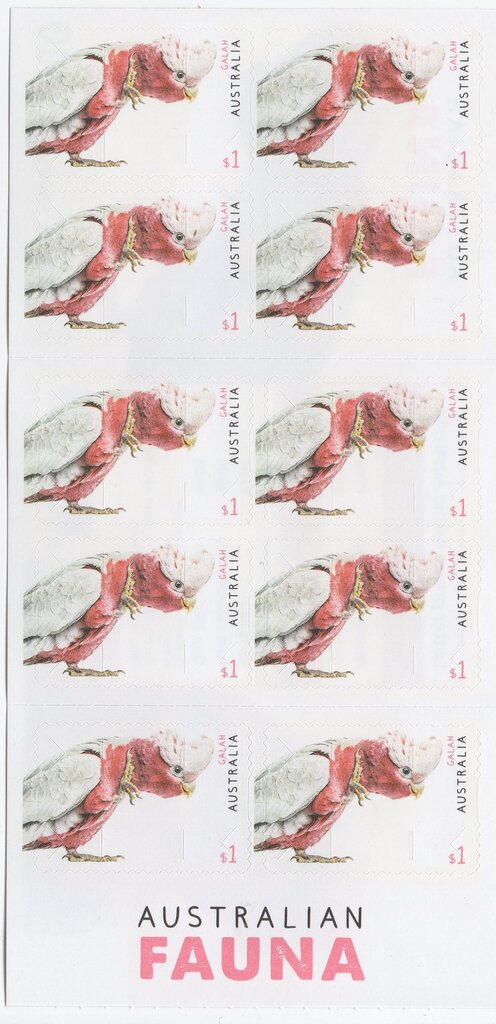 Galah (Eolophus roseicapilla)