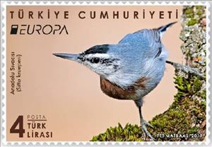 Stamp, Krüper's Nuthatch (Sitta krueperi), Turkey,  , Animals (Fauna), Birds, C.E.P.T. / Europe