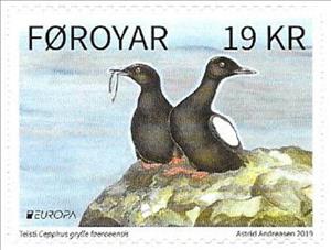 Stamp, Faroese Black Guillemot (Cepphus grylle faroeensis), Faroe Islands,  , Animals (Fauna), Birds, C.E.P.T. / Europe