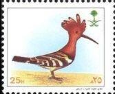 Hoopoe.