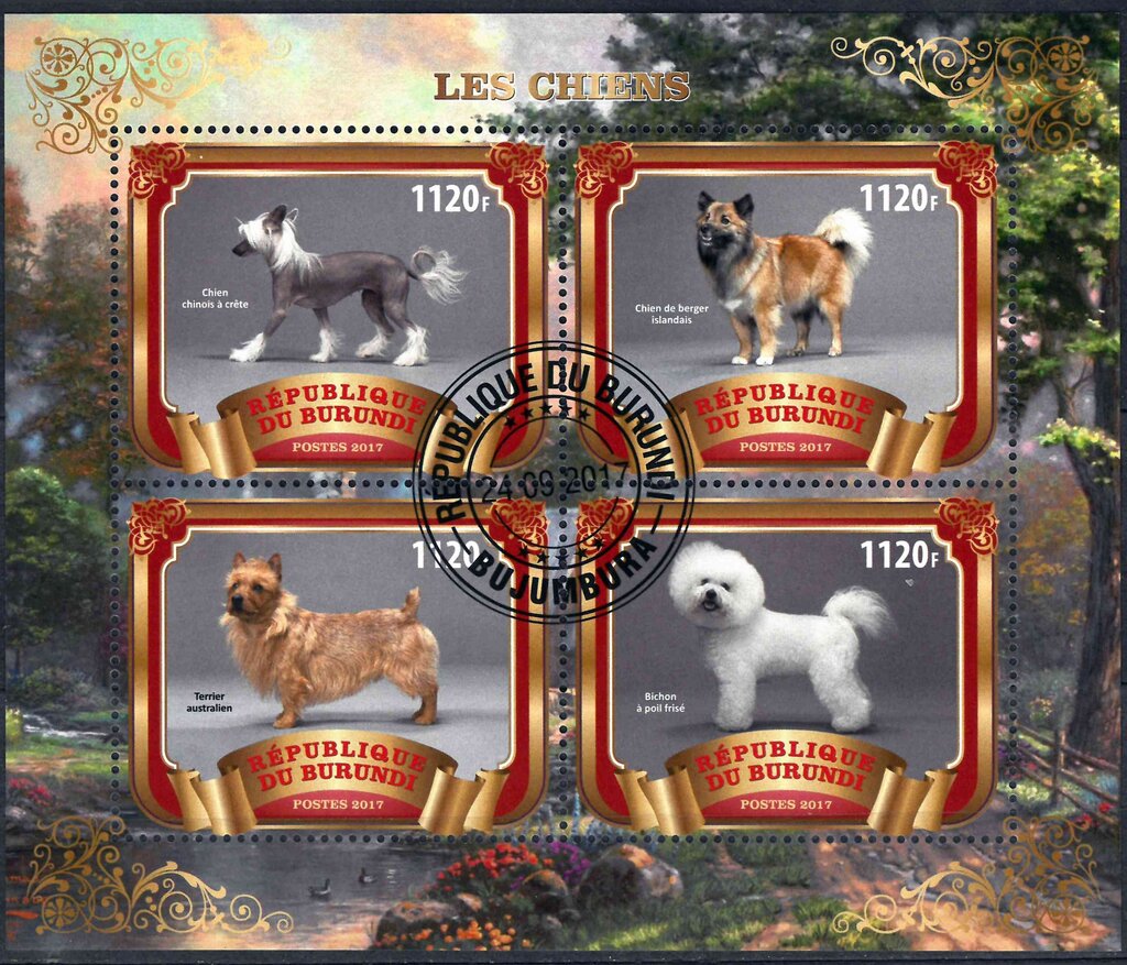 Dogs