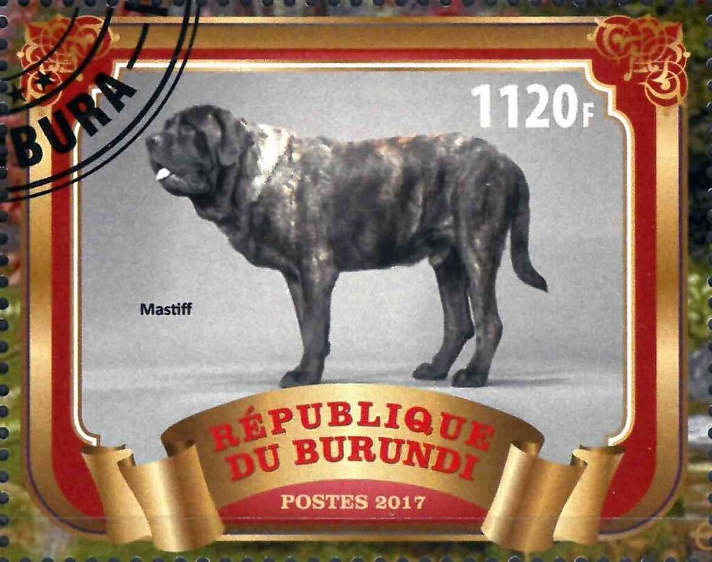 Mastiff