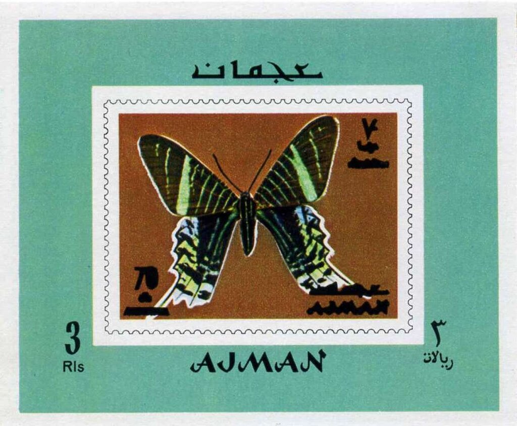 Green-banded Urania (Urania leilus)