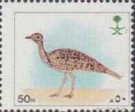 Houbara bustard (Chlamydotis undulata)