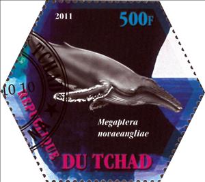 Stamp, Megaptera novaeangliae, Cinderellas,  , Animals (Fauna), Whales