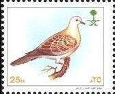 Turtle dove.