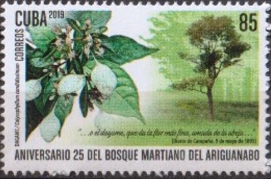 25th Anniversary of Martiano de Ariguanabo Forest