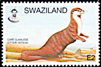Stamp, Cape Clawless Otter, Swaziland,  , Animals (Fauna), Mammals, Otters