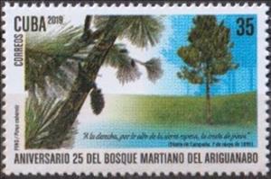 Stamp, 25th Anniversary of Martiano de Ariguanabo Forest, Cuba,  , Plants (Flora), Trees